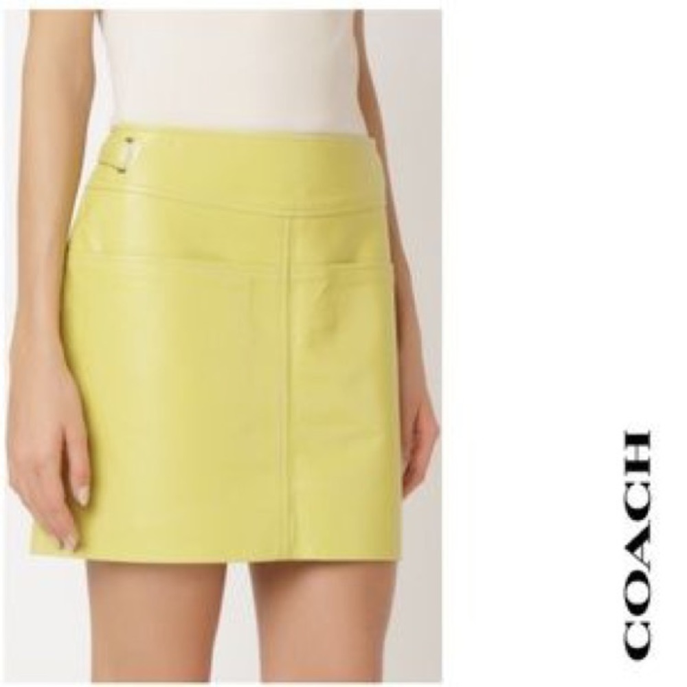 NWT COACH Mini Calf Leather Mod Skirt, 0, Slime